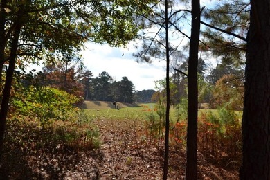 Hello, first-time homebuyer this is the perfect home for you! - photo 14