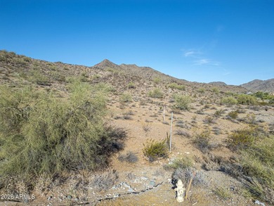 Exclusive Custom Homesite in Verrado's Prestigious custom home - photo 15