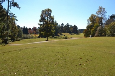 Hello, first-time homebuyer this is the perfect home for you! - photo 15