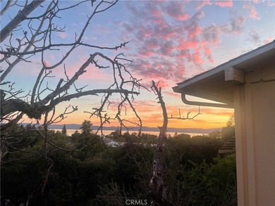 If you have ever wanted to own a lakeview property, now is your - photo 20