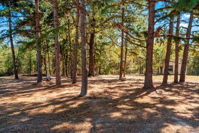 Private 6.75-Acre Retreat with Updated 3BR and 2BA Home - - photo 8