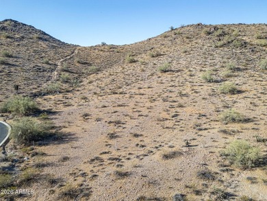 Exclusive Custom Homesite in Verrado's Prestigious custom home - photo 34