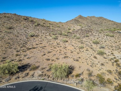 Exclusive Custom Homesite in Verrado's Prestigious custom home - photo 36