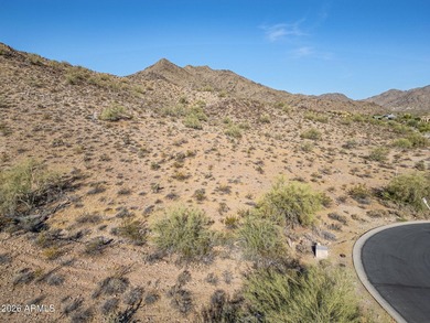 Exclusive Custom Homesite in Verrado's Prestigious custom home - photo 41