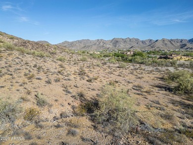 Exclusive Custom Homesite in Verrado's Prestigious custom home - photo 43