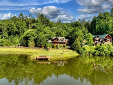 Lake Home For Sale in Mineral Bluff, Georgia