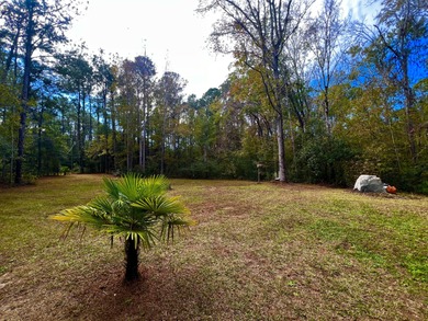North Edisto River Lot For Sale in Edisto Island South Carolina