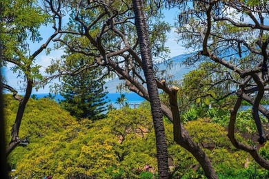 Top-floor 2-bedroom, 2-bathroom Maui Vista condo in highly - photo 2