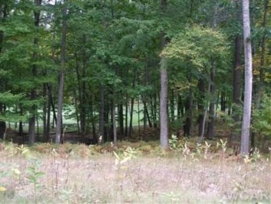 (private lake, pond, creek) Lot For Sale in Canadian Lakes Michigan