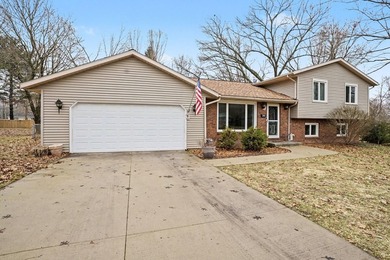 Maple Lake Home For Sale in Paw Paw Michigan