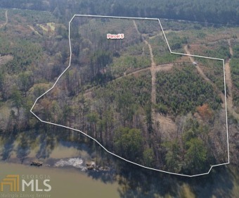 Lake Harding Acreage For Sale in Hamilton Georgia