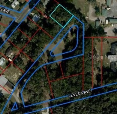 Withlacoochee River Lot For Sale in Inglis Florida