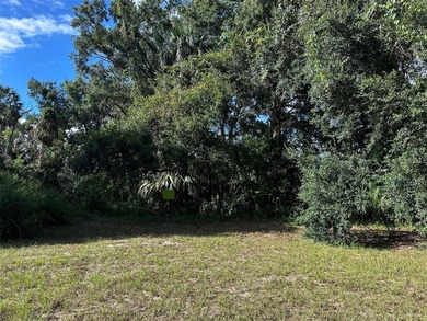 This 0.28 acre lot is in downtown Inglis, Florida, and is - photo 2