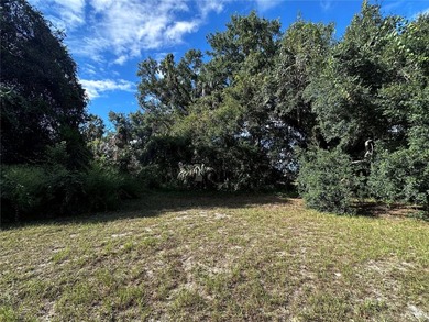 This 0.28 acre lot is in downtown Inglis, Florida, and is - photo 3