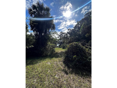 This 0.28 acre lot is in downtown Inglis, Florida, and is - photo 5