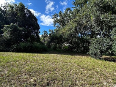 This 0.28 acre lot is in downtown Inglis, Florida, and is - photo 6