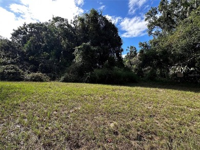 This 0.28 acre lot is in downtown Inglis, Florida, and is - photo 7