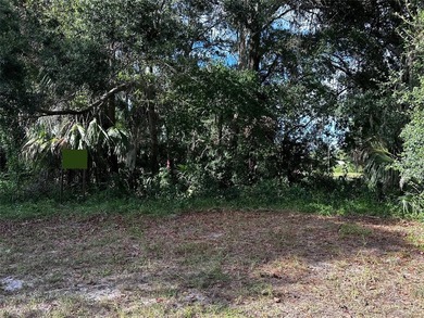 This 0.28 acre lot is in downtown Inglis, Florida, and is - photo 8