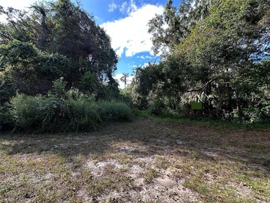 This 0.28 acre lot is in downtown Inglis, Florida, and is - photo 9