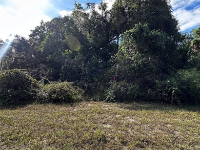 This 0.28 acre lot is in downtown Inglis, Florida, and is - photo 10
