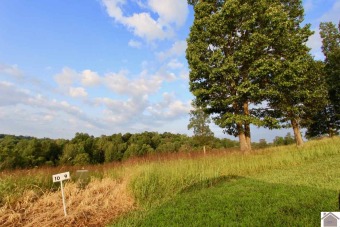 Lake Barkley Lot For Sale in Eddyville Kentucky