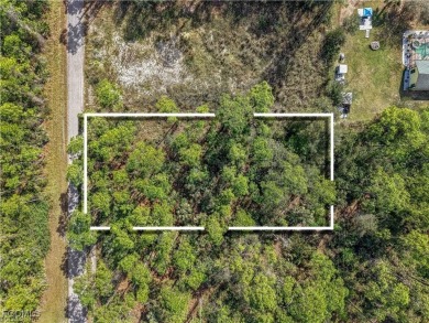 Lehigh Acres Area Lot For Sale in Alva Florida