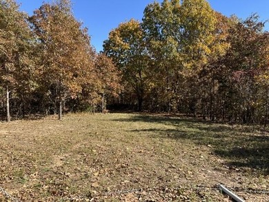 (private lake, pond, creek) Acreage For Sale in Alton Missouri