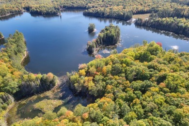 Lake Acreage For Sale in Land O Lakes, Wisconsin