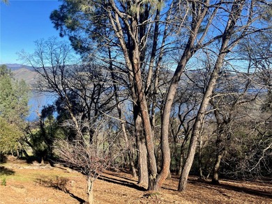 Clear Lake Lot For Sale in Kelseyville California