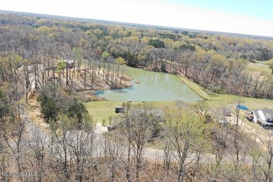 Boundary Lines are approximate in primary photo. All structures - photo 2
