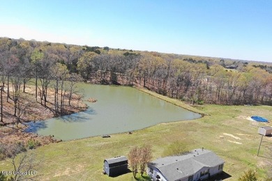 Boundary Lines are approximate in primary photo. All structures - photo 4