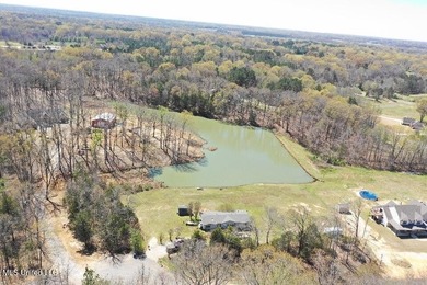 Boundary Lines are approximate in primary photo. All structures - photo 5