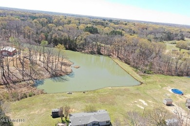 Boundary Lines are approximate in primary photo. All structures - photo 6