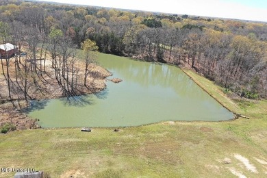 Boundary Lines are approximate in primary photo. All structures - photo 7
