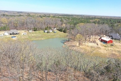 Boundary Lines are approximate in primary photo. All structures - photo 9