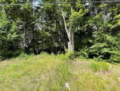  Acreage For Sale in Bucksport Maine