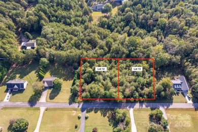 Lake Norman Lot For Sale in Statesville North Carolina