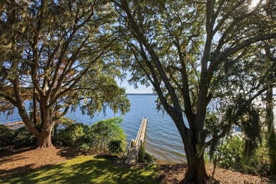 One or more photo(s) has been virtually staged || Lakefront - photo 43