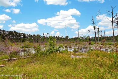 Enjoy peaceful country living with convenient access to I-10 - photo 45
