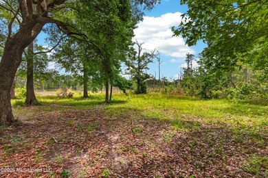 Enjoy peaceful country living with convenient access to I-10 - photo 46
