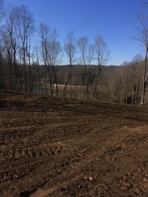 Lakefront Lot 158c Holiday Rough Subdivision - Lake Lot For Sale in Leitchfield, Kentucky
