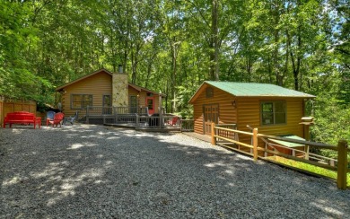 Lake Home For Sale in Cherry Log, Georgia