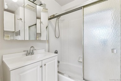 Rare Opportunity! Exceptional Two-Family Home in Manhasset A - photo 17