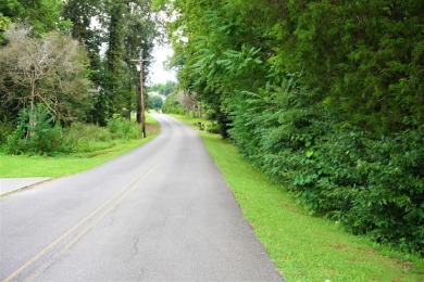 ENGLISH CREEK FRONTAGE - photo 29