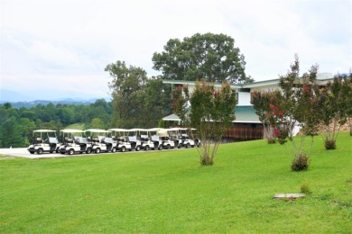 ENGLISH CREEK FRONTAGE - photo 20