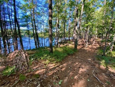This is a rare opportunity to acquire 54 acres of prime - photo 6