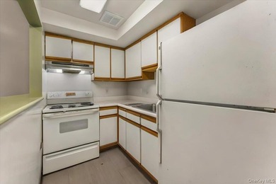 This pristine and immaculate two-family brownstone home is - photo 7