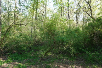 ENGLISH CREEK FRONTAGE - photo 15