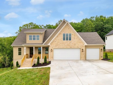 Lake Home For Sale in Harrison, Tennessee