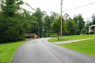 ENGLISH CREEK FRONTAGE - photo 28